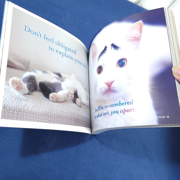 Really Important Stuff My Cat Taught Me - Picture 3 of 5